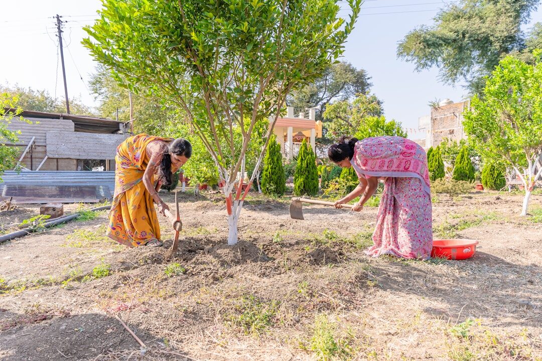 community garden project